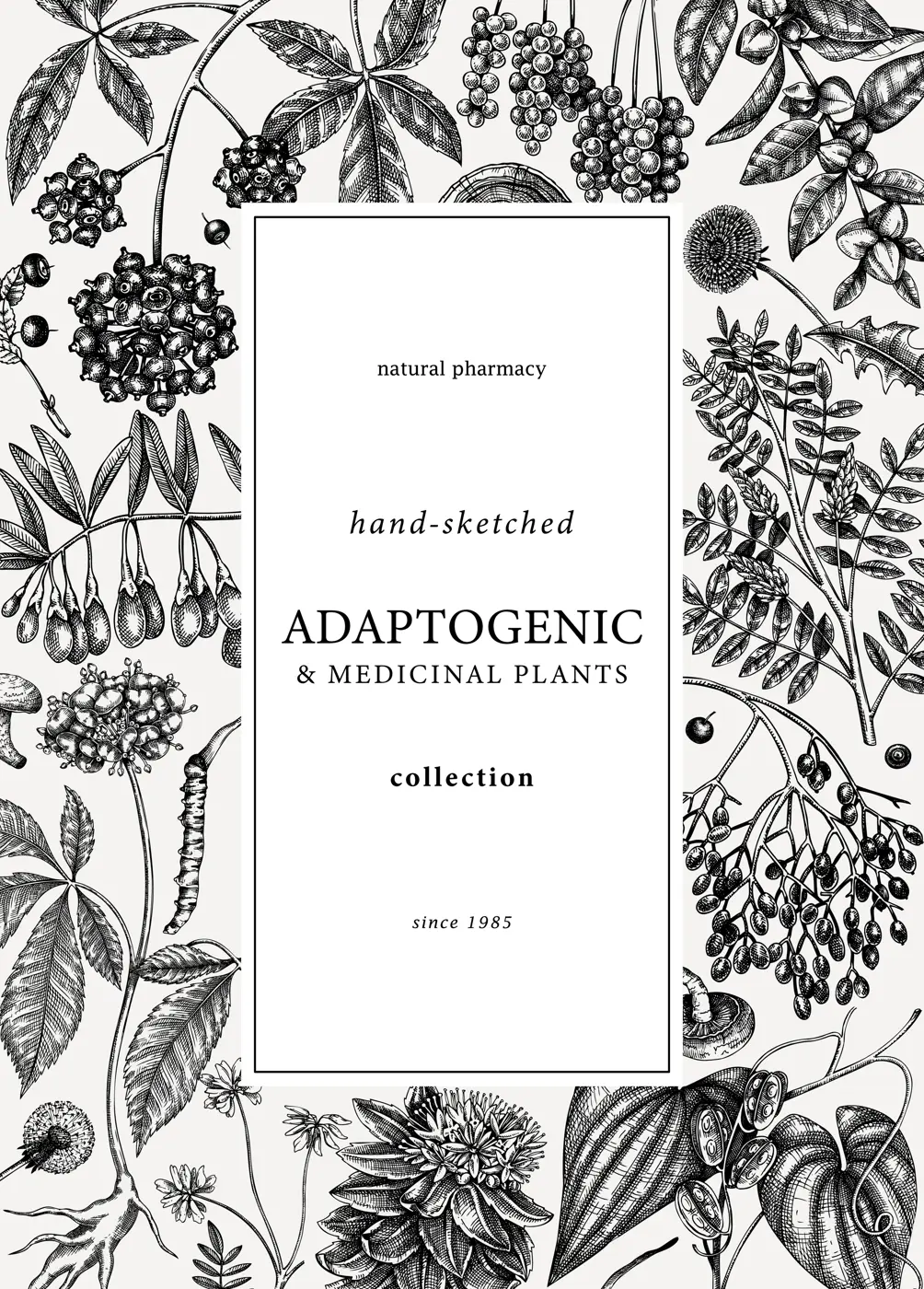 Botanical card design with hand-sketched adaptogenic and medicinal  herbs, weeds, berries, leaves. Adaptogenic plants vector illustration. Perfect for label, packaging, banner, invitations template Illustration